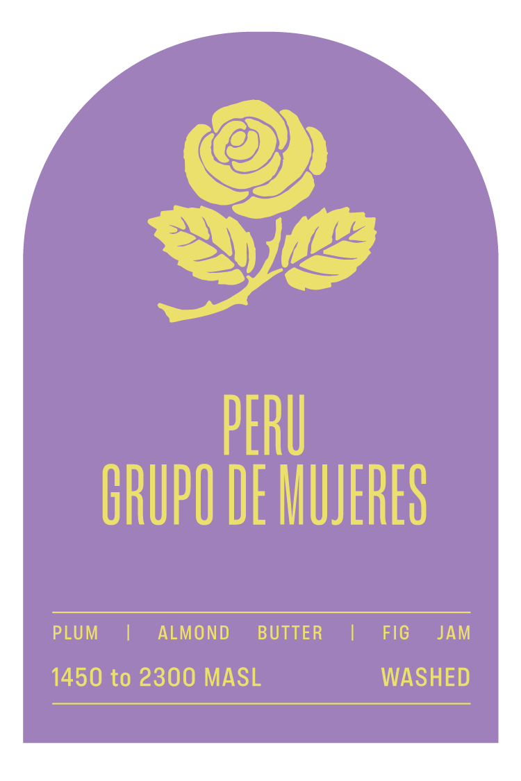 GRUPO DE MUJERES (Bulk)