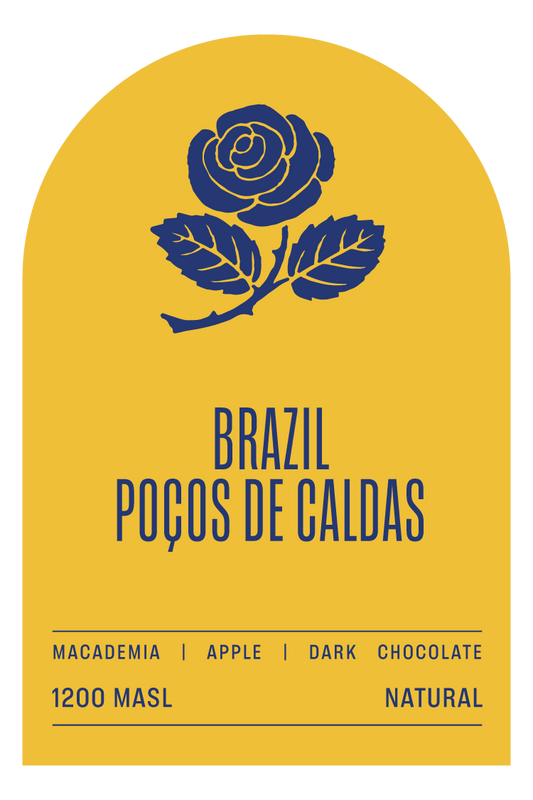 POÇOS DE CALDAS (Bulk)