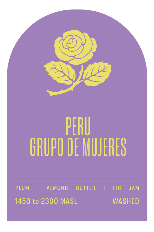 GRUPO DE MUJERES (Bulk)